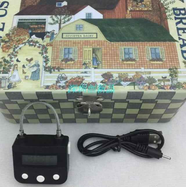 Time Lock Fetish Electronic Timer Bdsm Bondage Restraints Chastity Couples